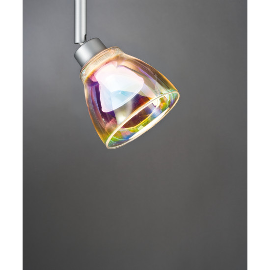 Glass 60011 Wolbi