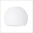Glass 60055 Wolbi