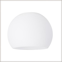 Glass 60055 Wolbi