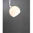 Glass 60055 Wolbi