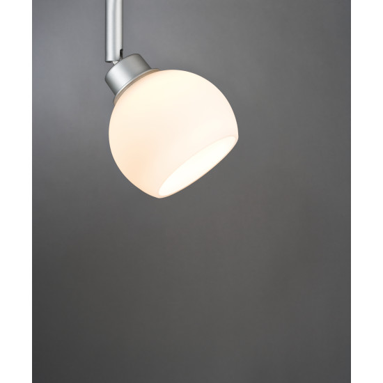 Glass 60055 Wolbi