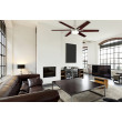 Ceiling fan with remote control CAYUGA