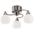 Ceiling light 3x40W E14 IRIS