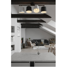 Ceiling lights