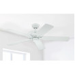 Ceiling fan MONARCH