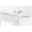 Ceiling fan MONARCH