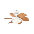 Ceiling fan QUINCE