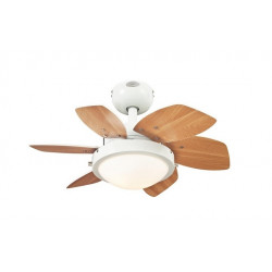 Ceiling fan QUINCE
