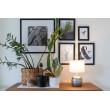 Galda lampa 25W E27 EVELYN