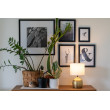 Galda lampa 25W E27 EVELYN