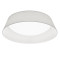 White PONTS 