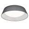 gray PONTS 